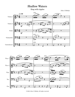 Shallow Waters - Sing with the ripples